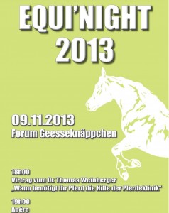 Equi Night 2013 Flyer